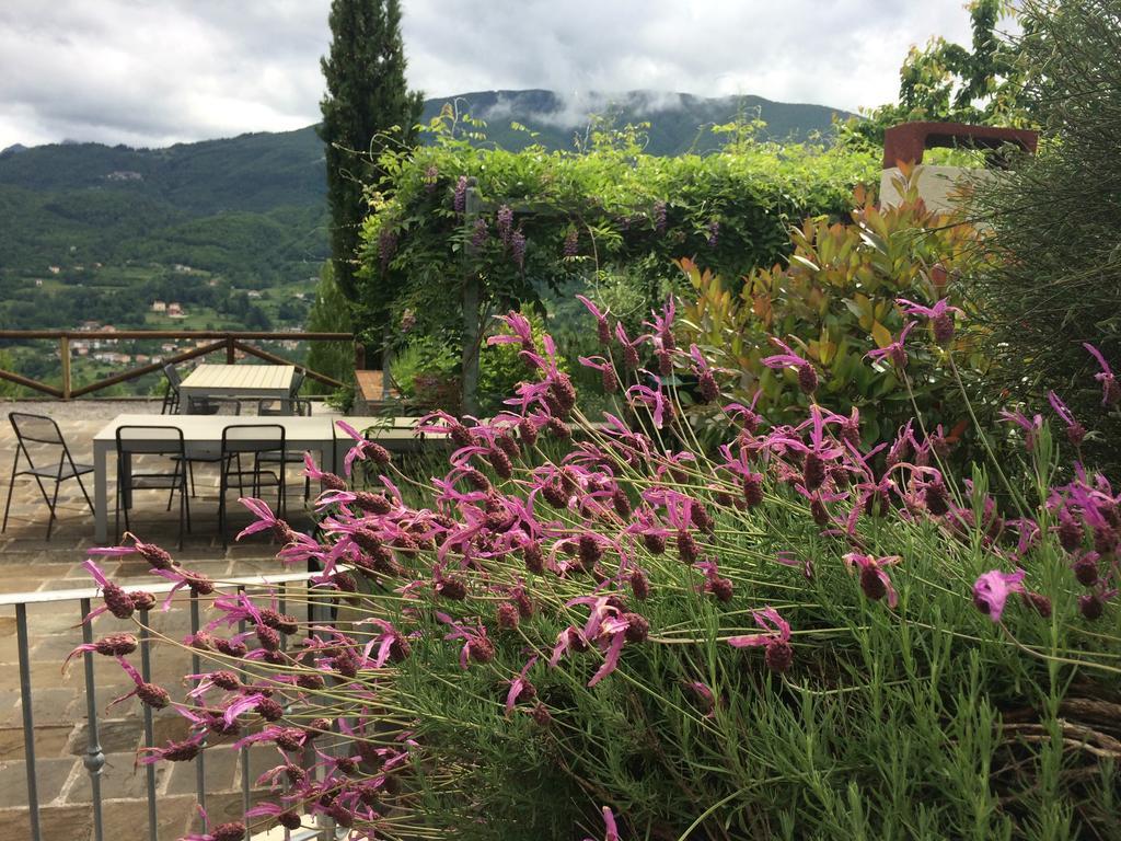 מלון Pieve Fosciana Agriturismo Braccicorti מראה חיצוני תמונה