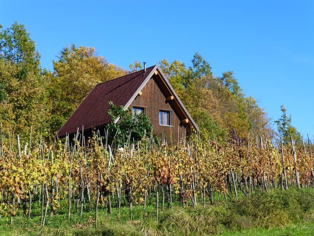 מלון Pieve Fosciana Agriturismo Braccicorti מראה חיצוני תמונה