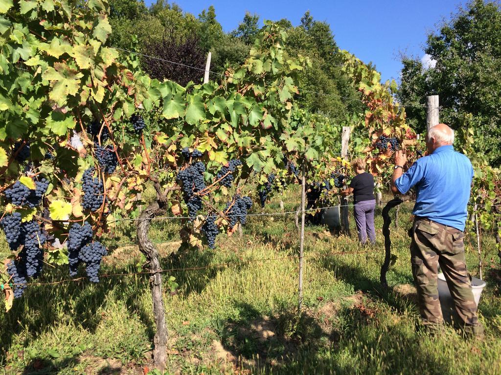 מלון Pieve Fosciana Agriturismo Braccicorti מראה חיצוני תמונה